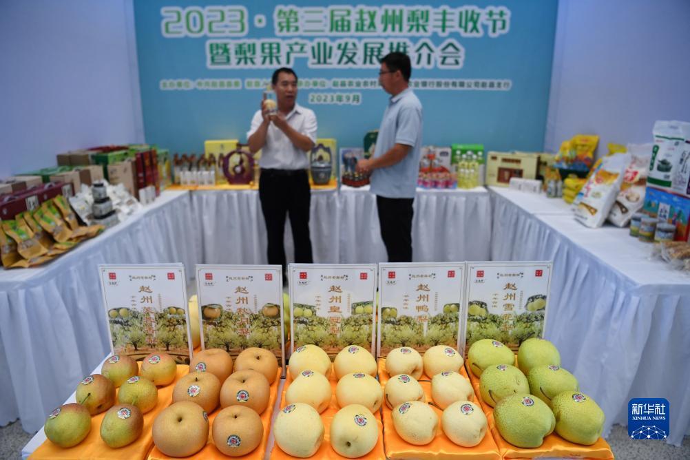九州十年信誉网pc登陆
